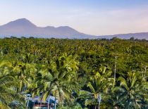 Villa Nag Shampa - Kubu 1, Local surrounding